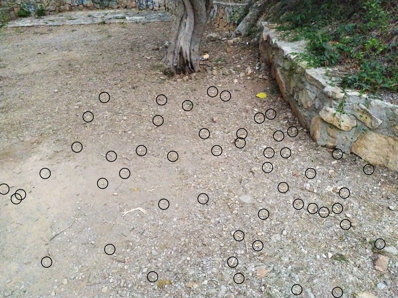 Imagen para los medios: Vallirana, un poble sense fum! 